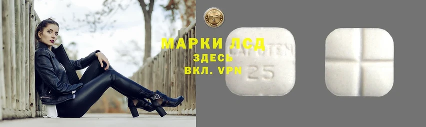 Лсд 25 экстази ecstasy  дарнет шоп  Нелидово 